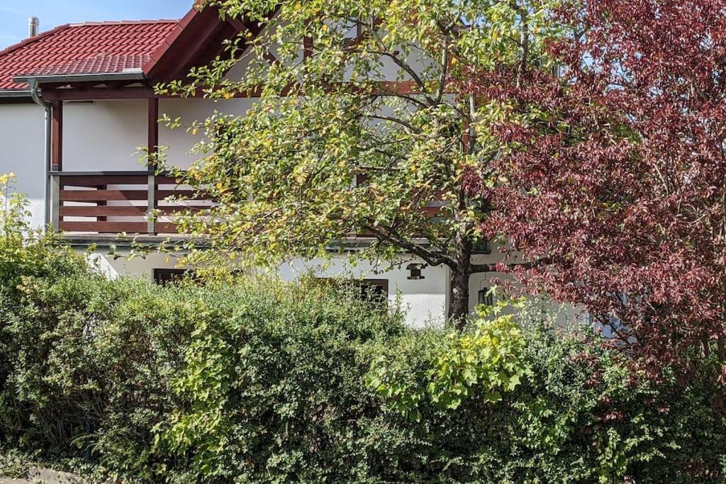 Ferienwohnung In Ruhiger Lage Direkt Am Wald Heidenheim an der Brenz Exterior foto